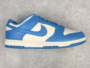 Nike Dunk DD1503-100