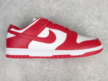 Nike Dunk DD1503-111