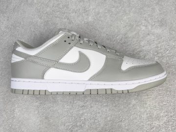 Nike Dunk DD1391-103