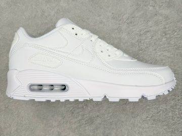 Air MAX 90 CZ5594-100