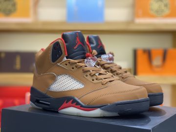 Air jordan 5 DD0587-200