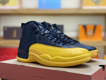 Jordan 12 130690-070