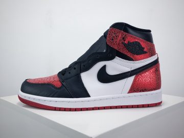 Air Jordan 1 High FD2596-602