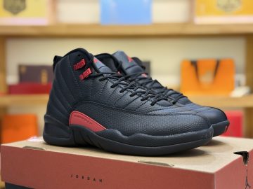 Jordan 12 CT8013-060
