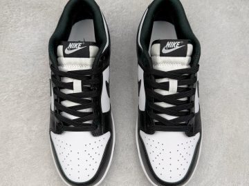 Nike Dunk HF5441-100