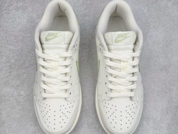 Nike Dunk WG0212-016