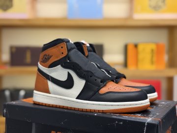 Air Jordan 1 High DZ5485-008