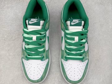 Nike Dunk HF5441-101