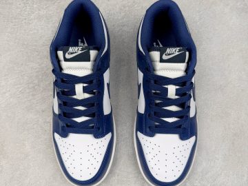 Nike Dunk HF5441-107