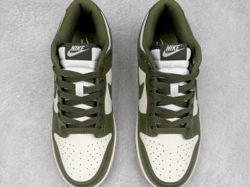 Nike Dunk HF5441-102