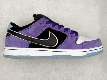 Nike Dunk HJ0513-500