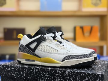 Air jordan 3 FQ1759 107