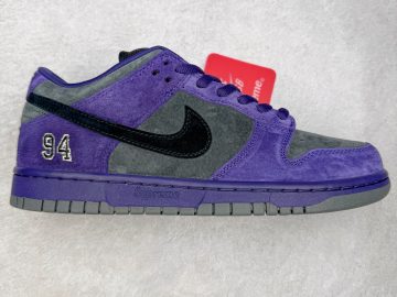 Nike Dunk HQ8487-500