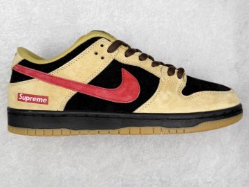 Nike Dunk FJ1674-002