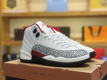 Jordan 12 CT8013-118
