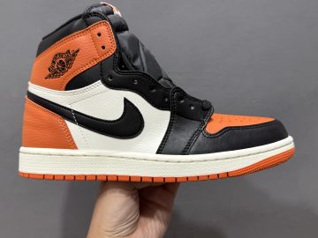 Air Jordan 1 High OG“Shattered Backboard“DZ5485-008