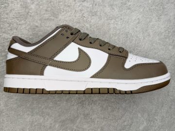 Nike Dunk HF5441-111