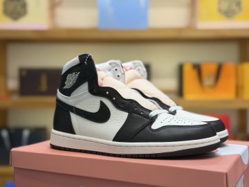 Air Jordan 1 High FD2596-200