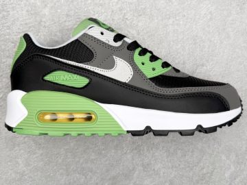 Air MAX 90 CV8839-300