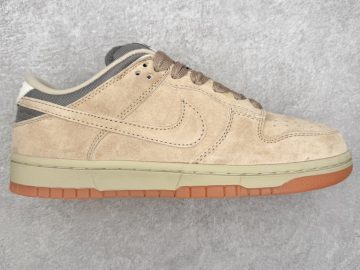 Nike Dunk HJ0367-200