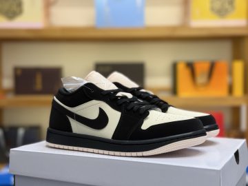 Air Jordan 1 Low DC0774-003