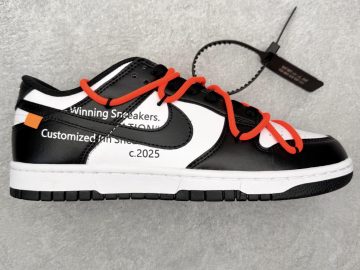 Nike Dunk DD1391-100
