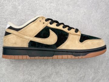 Nike Dunk HJ0367-200