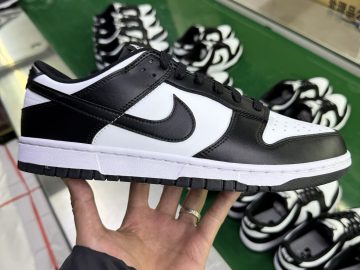 Nike Dunk DD1391-100