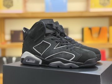 Jordan 6 IR2266-010
