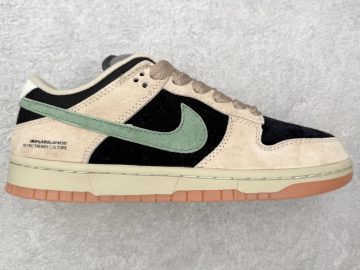 Nike Dunk HJ0367-200