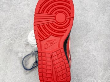 Nike Dunk 313170-661